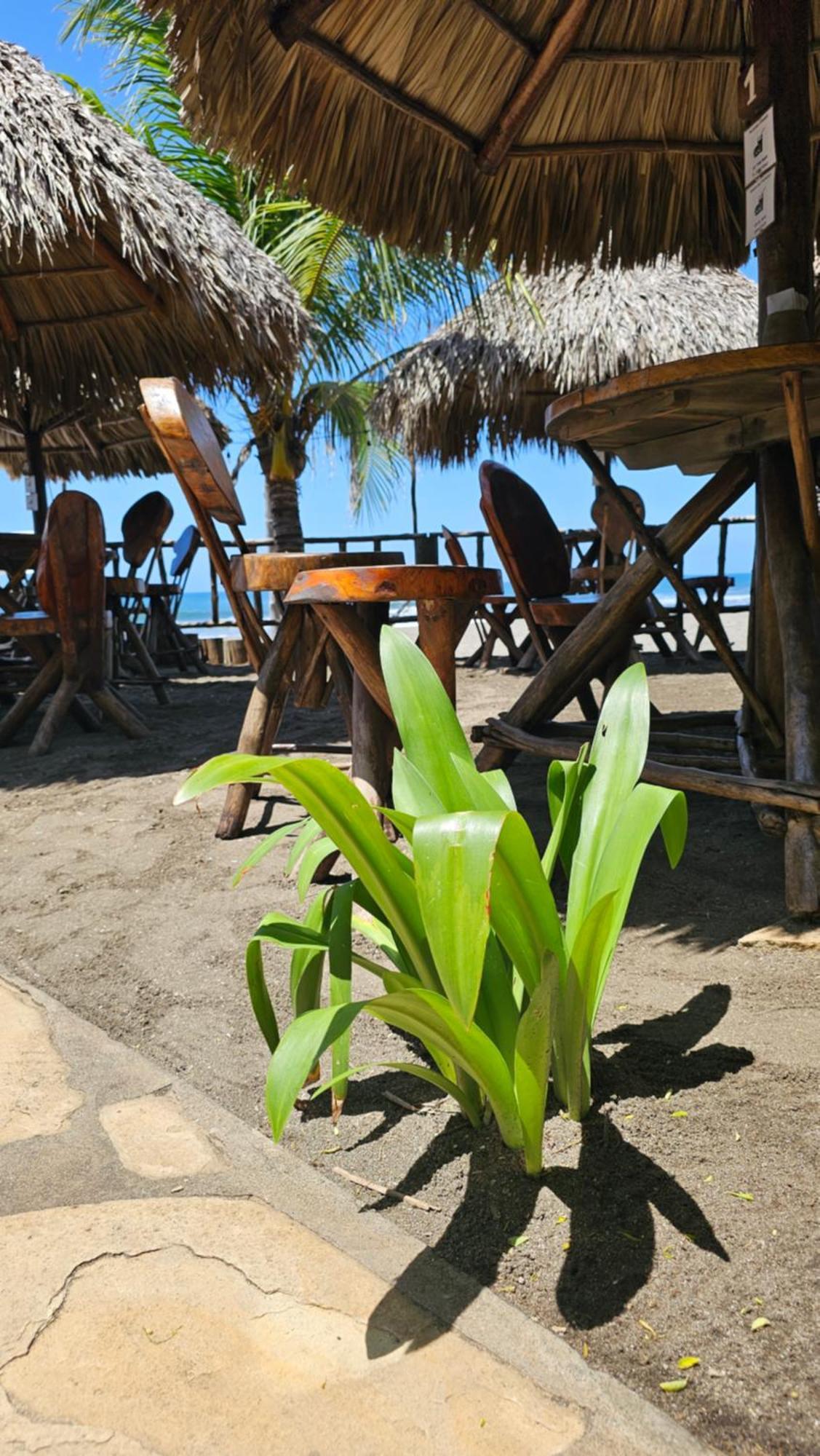 Mano A Mano Eco Hostal Las Peñitas Eksteriør bilde